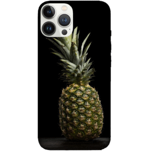 Fruits 064